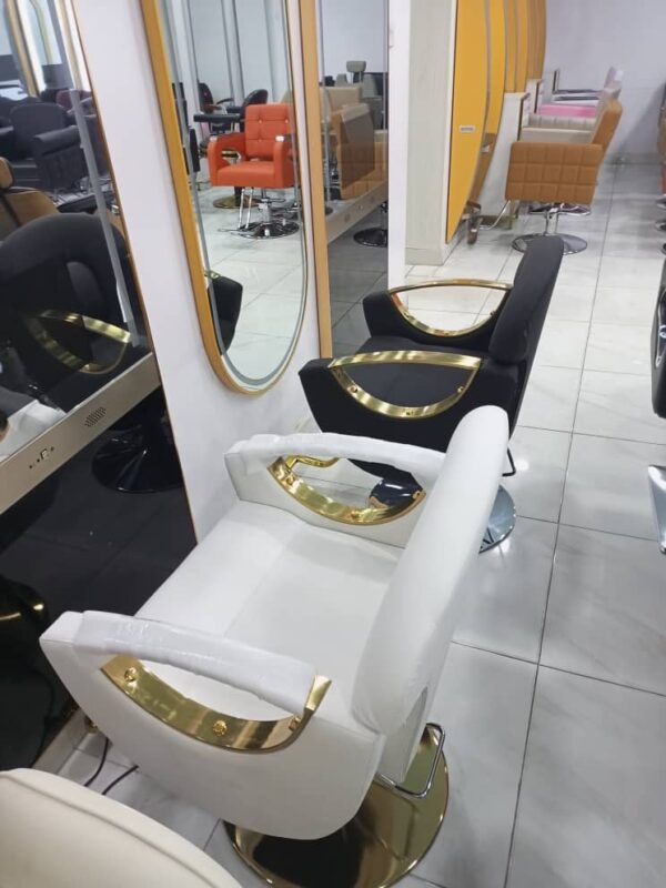 Adjustable Barbing Saloon Executive Chair